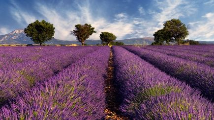 Grand France From Paris To Cote D'azur with Extended Stay In Provence
